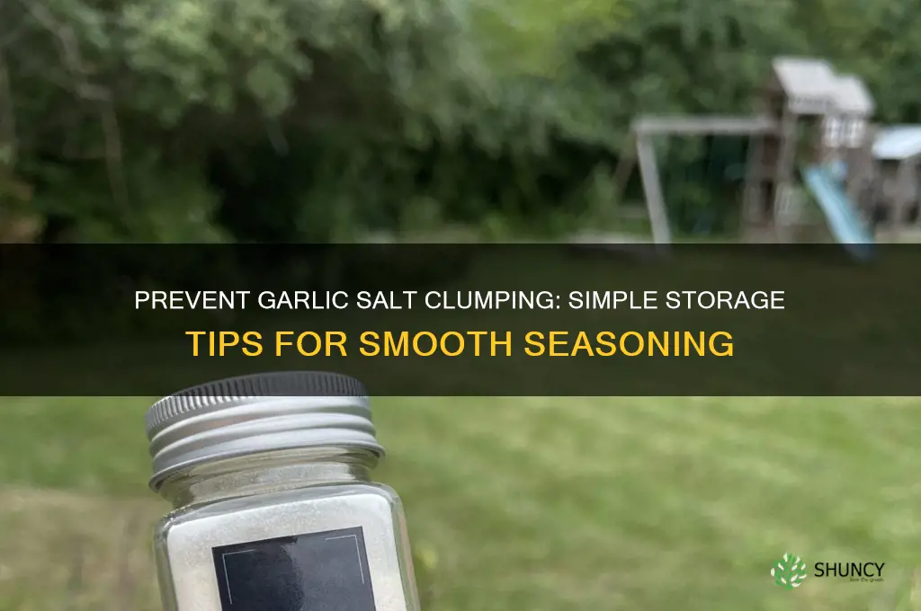 Stop Clumping: Craft Your Own Healthy, Flavorful Garlic Salt